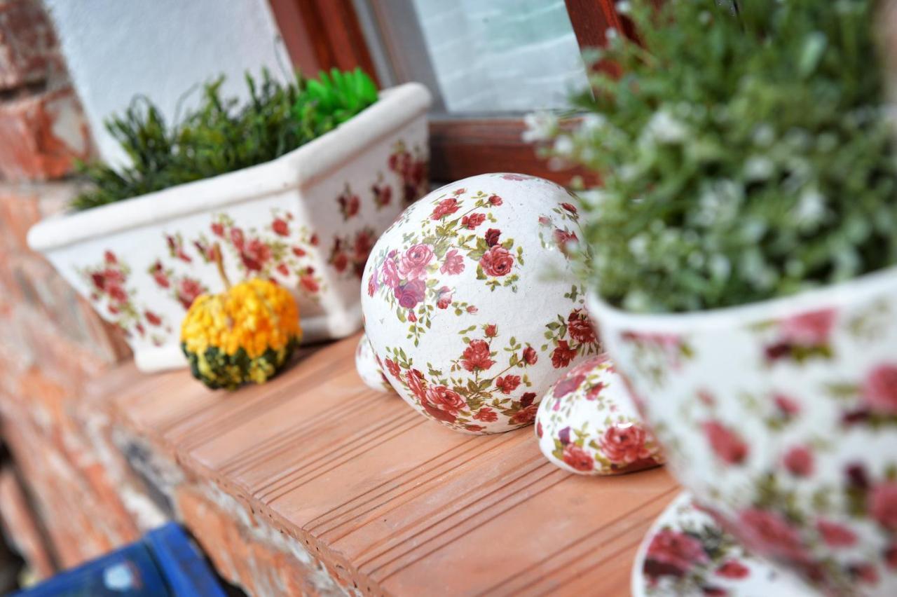 Janicsar Garden Apartman エゲル エクステリア 写真