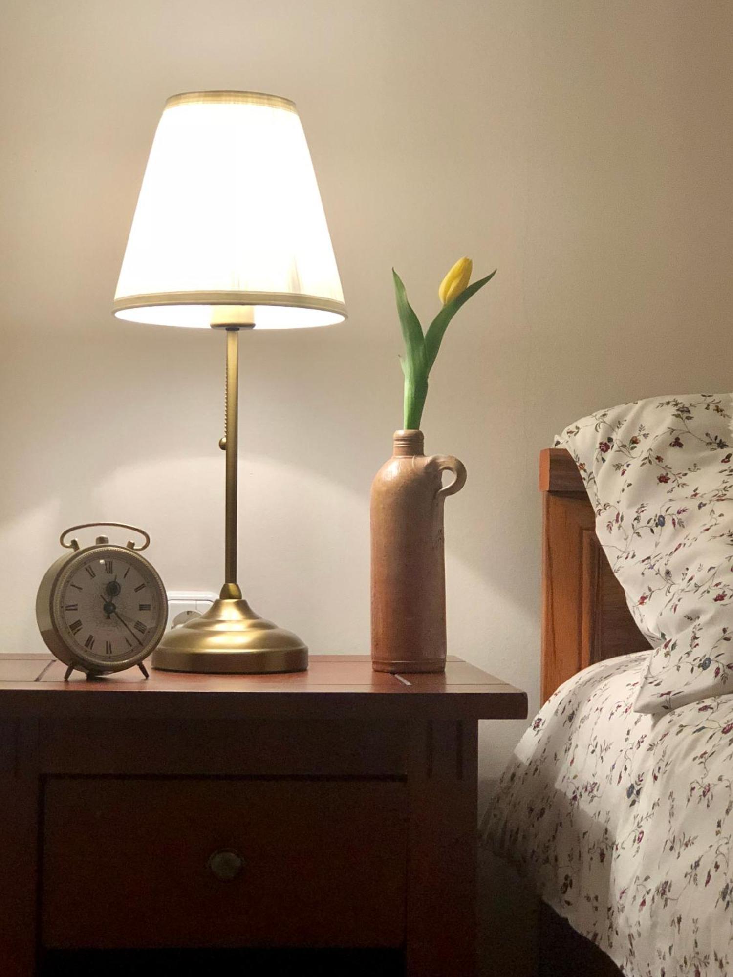 Janicsar Garden Apartman エゲル エクステリア 写真