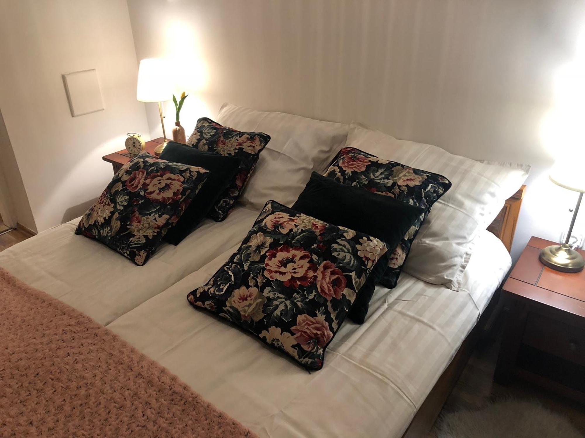 Janicsar Garden Apartman エゲル エクステリア 写真